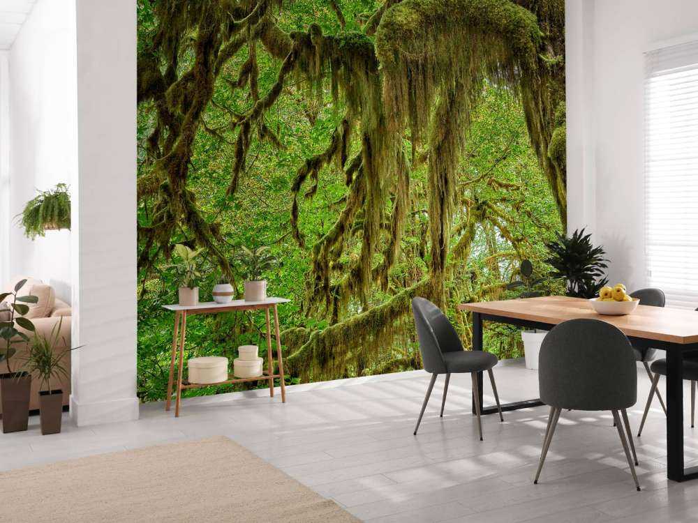 Muschio sui rami degli alberi