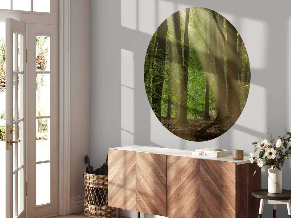 Arpe del sole nella foresta