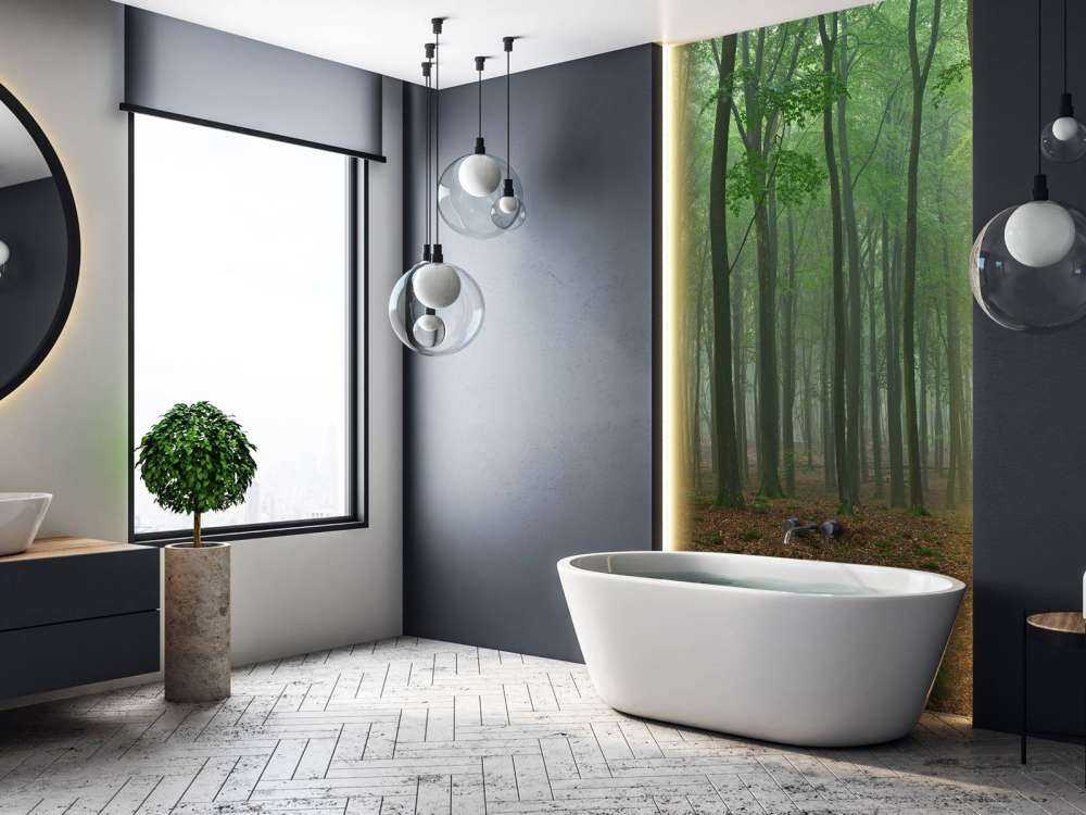 Nebbia nella foresta