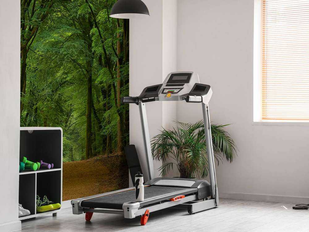 Strada nella foresta