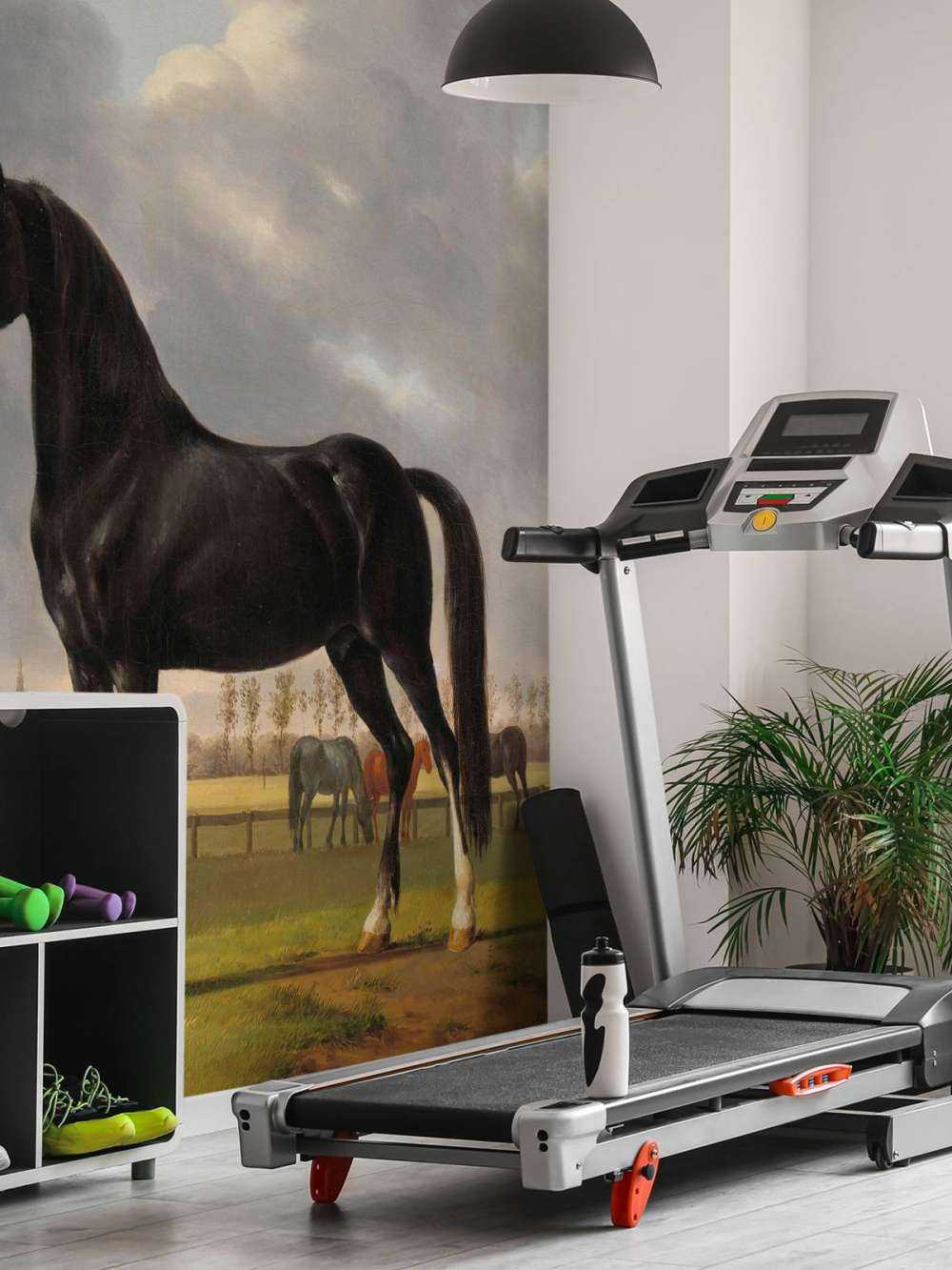 Foto carta da parati cavallo. Il cassettone De Vlugge