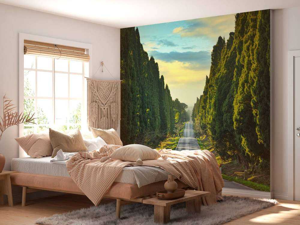 Strada con alberi ad alto fusto