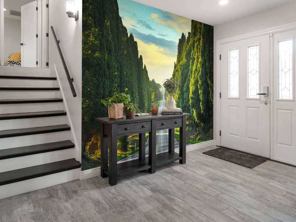 Strada con alberi ad alto fusto