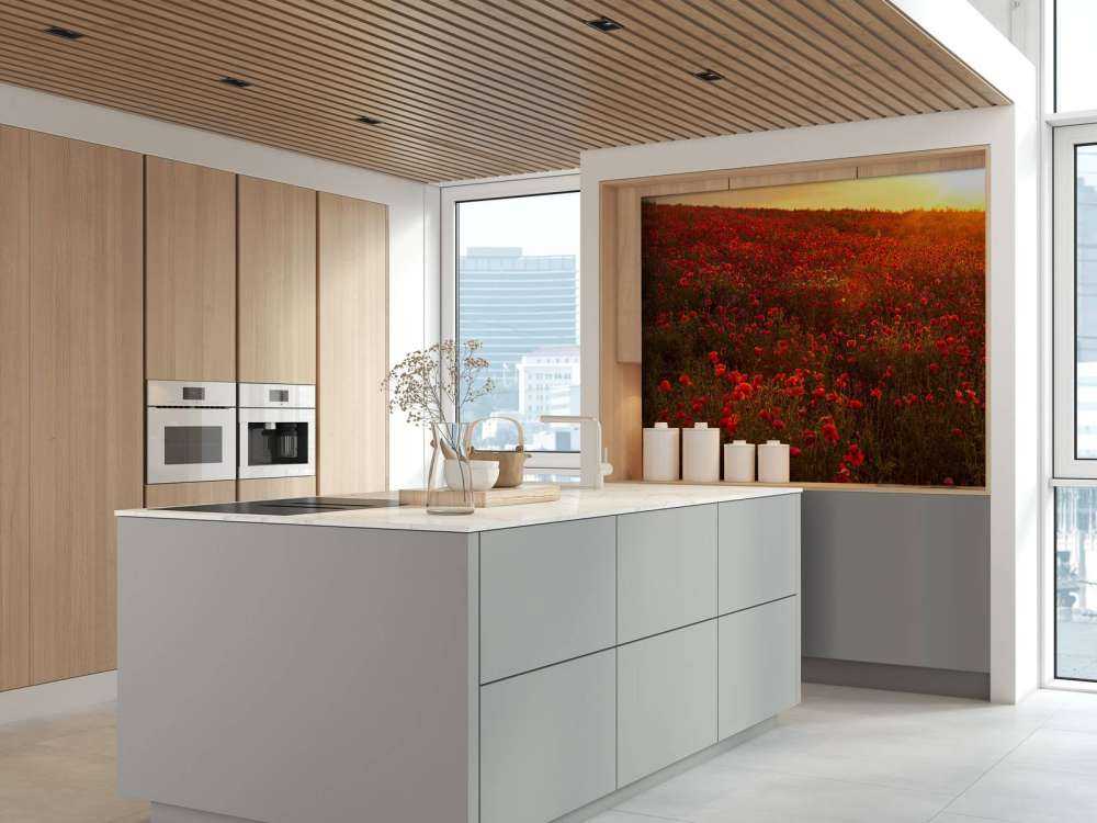 Papaveri su una collina