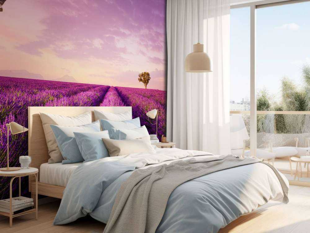 Campo di lavanda e mongolfiera