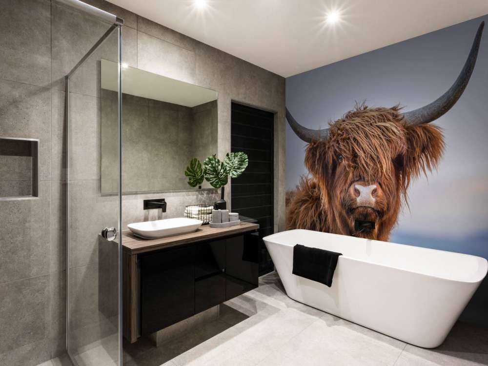 Staring Highlander scozzese