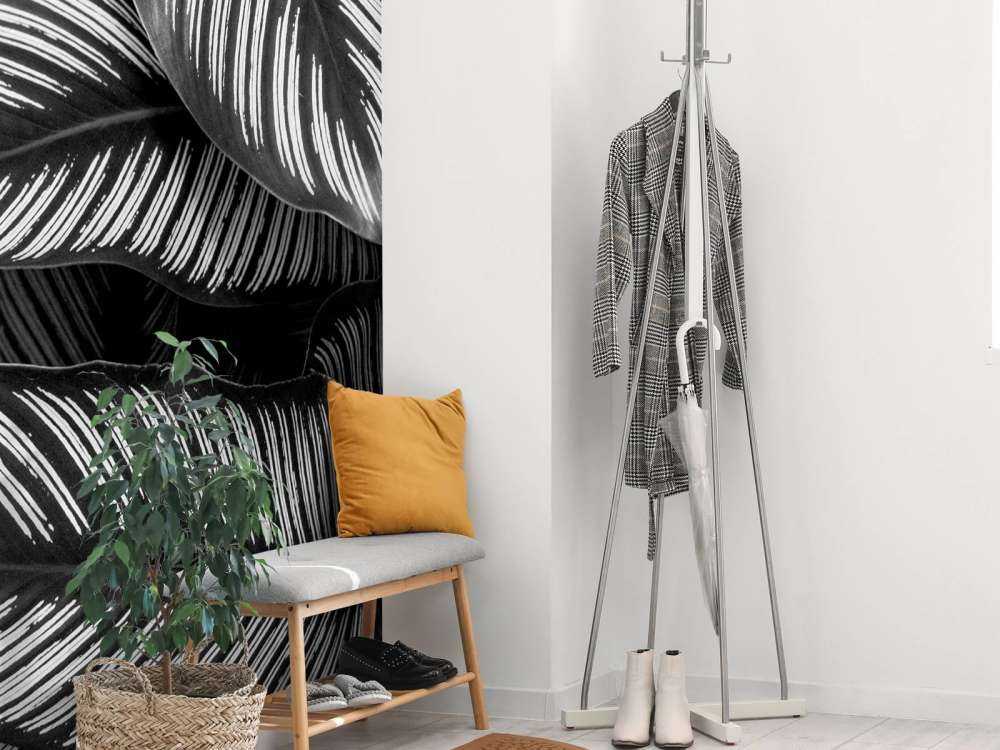 Foglie di palma bianche e nere