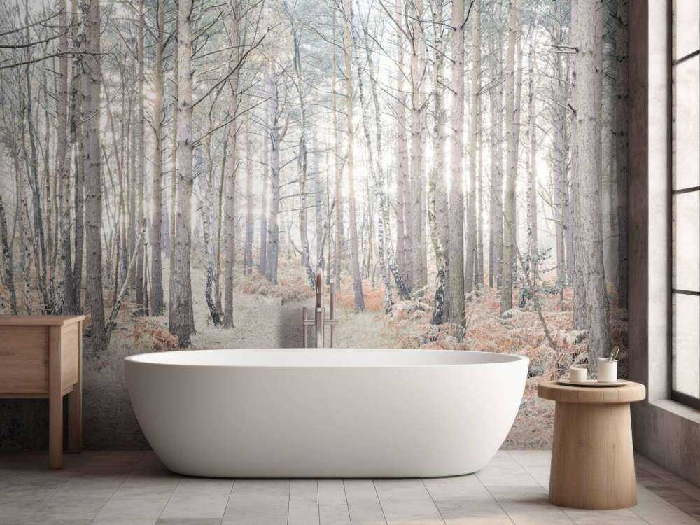 Sentiero sabbioso attraverso la foresta