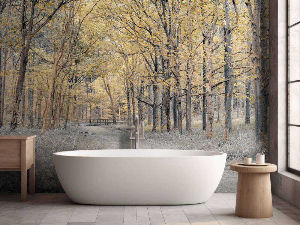 Strada forestale in autunno