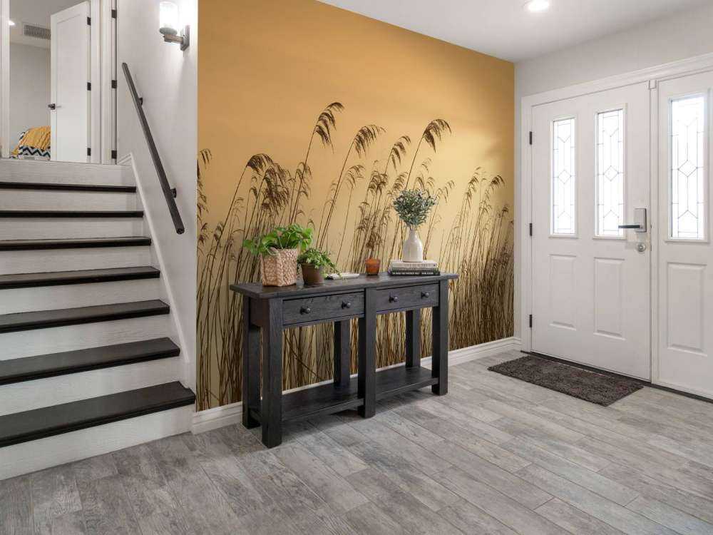 Canna da zucchero sul lungomare