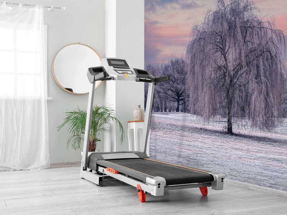 Albero ricoperto di brina