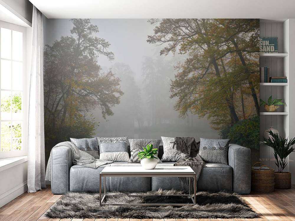 Stagno della foresta nella nebbia