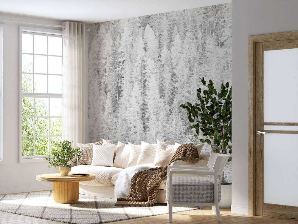 Conifere in bianco e nero