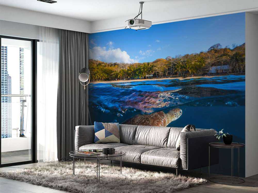 Green Turtle - Sea Turtle