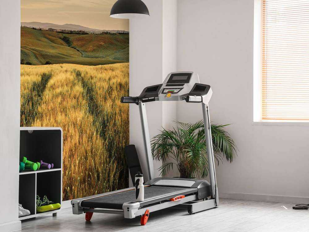 Campo di grano con binari