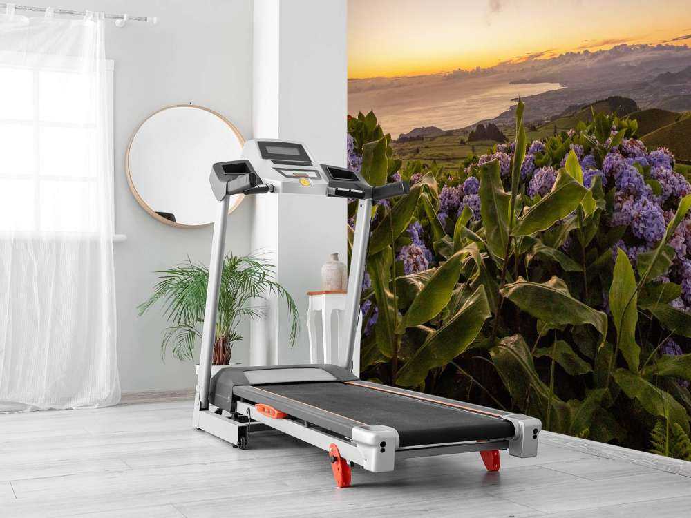 Tramonto con ortensie