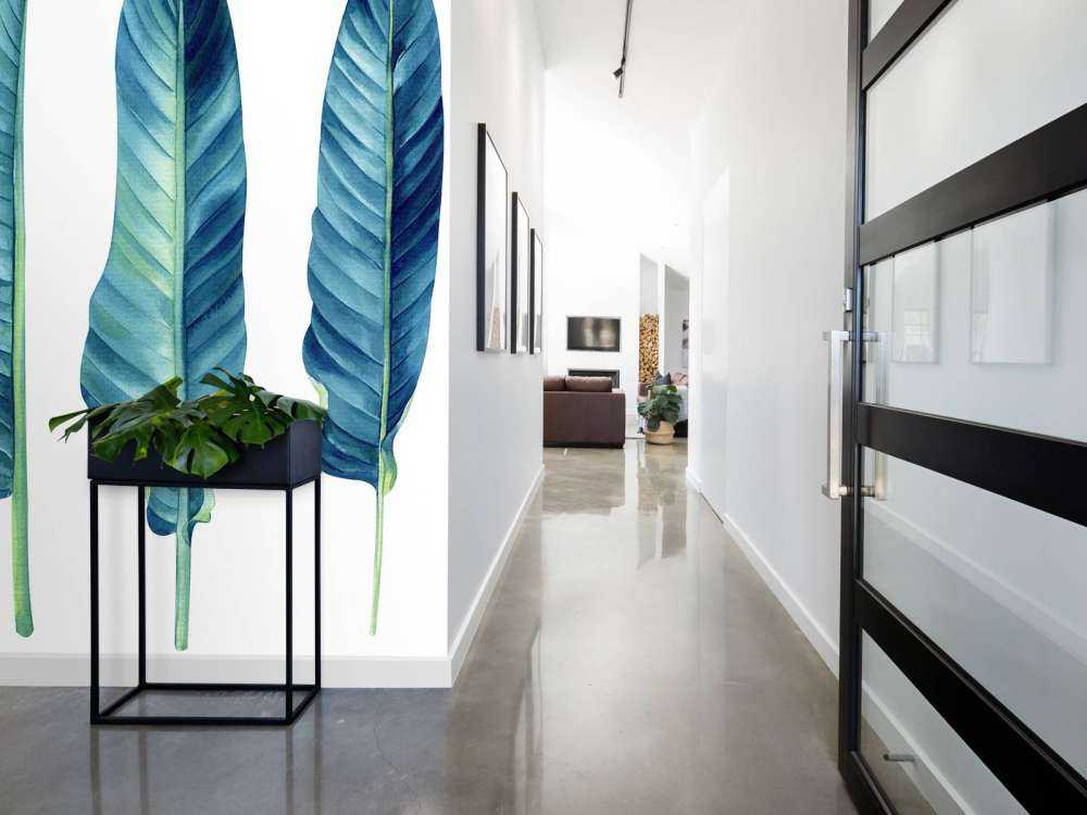 Foglie tropicali su sfondo bianco