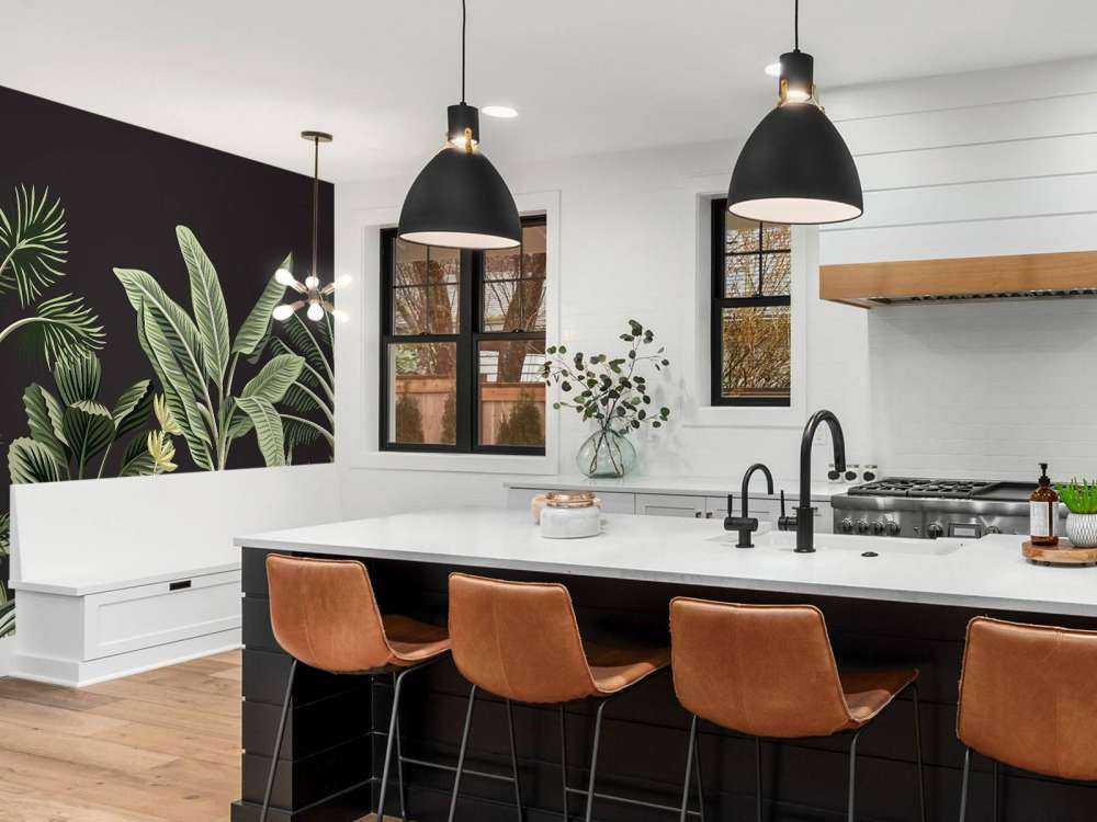 Palma tropicale su sfondo scuro