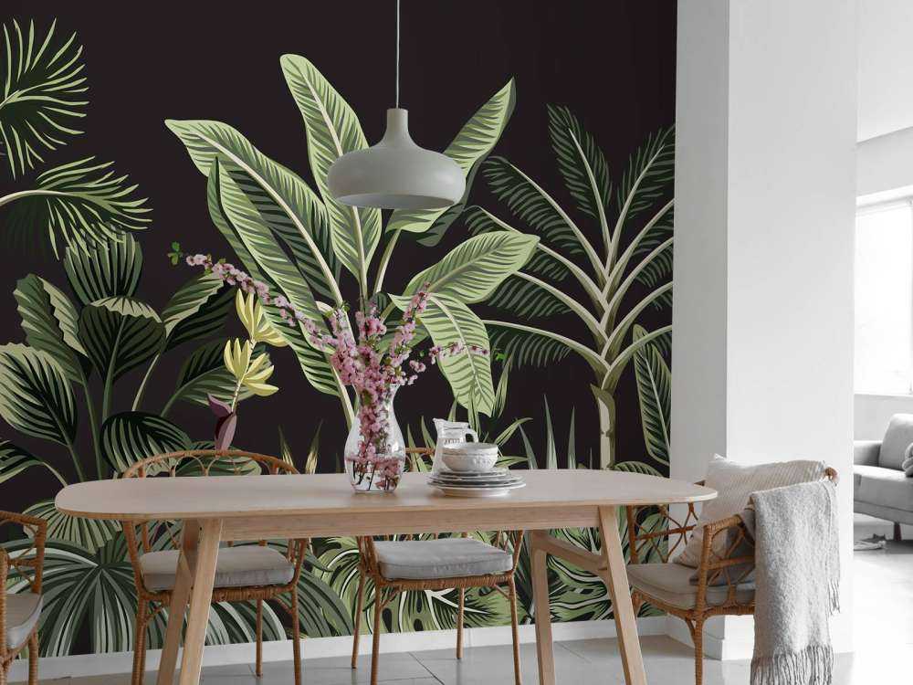 Palma tropicale su sfondo scuro