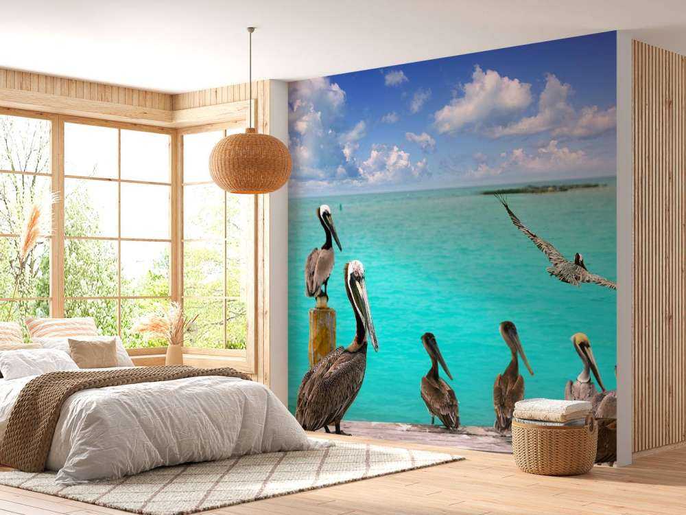 Pellicano dei Caraibi