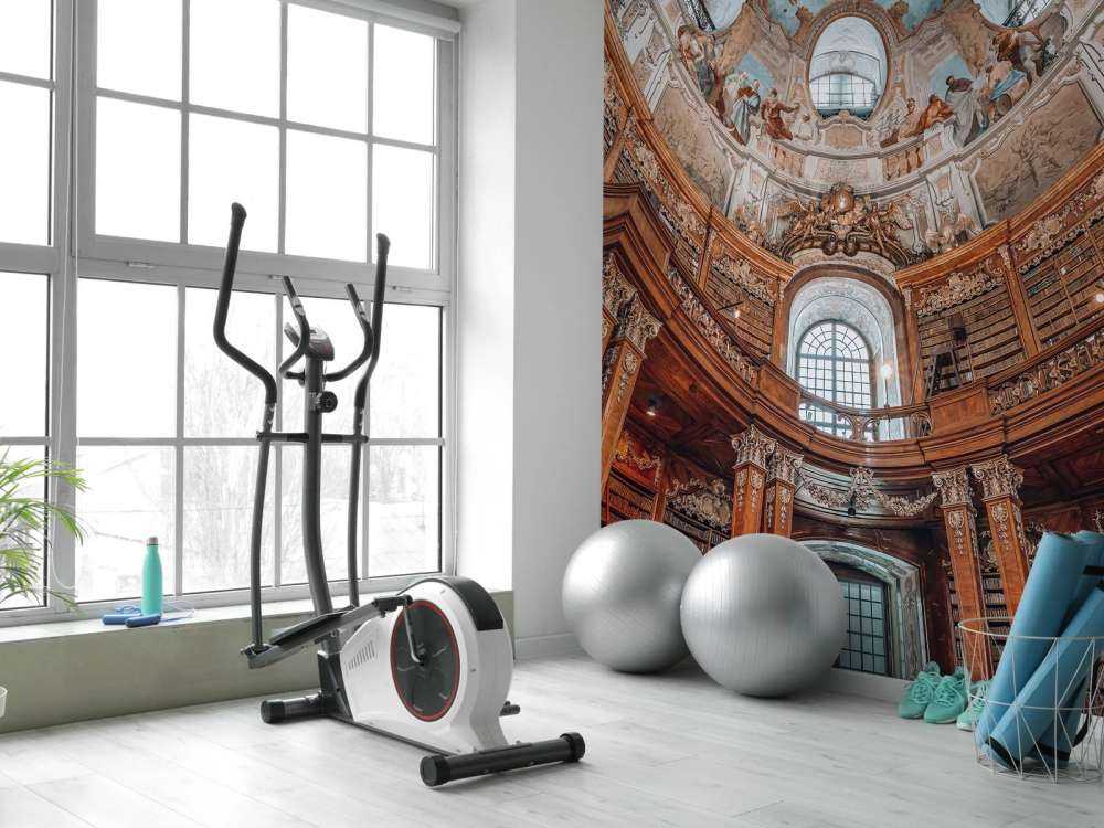 Dominio di libri barocco