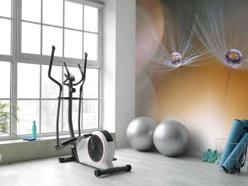 Semi di dente di leone