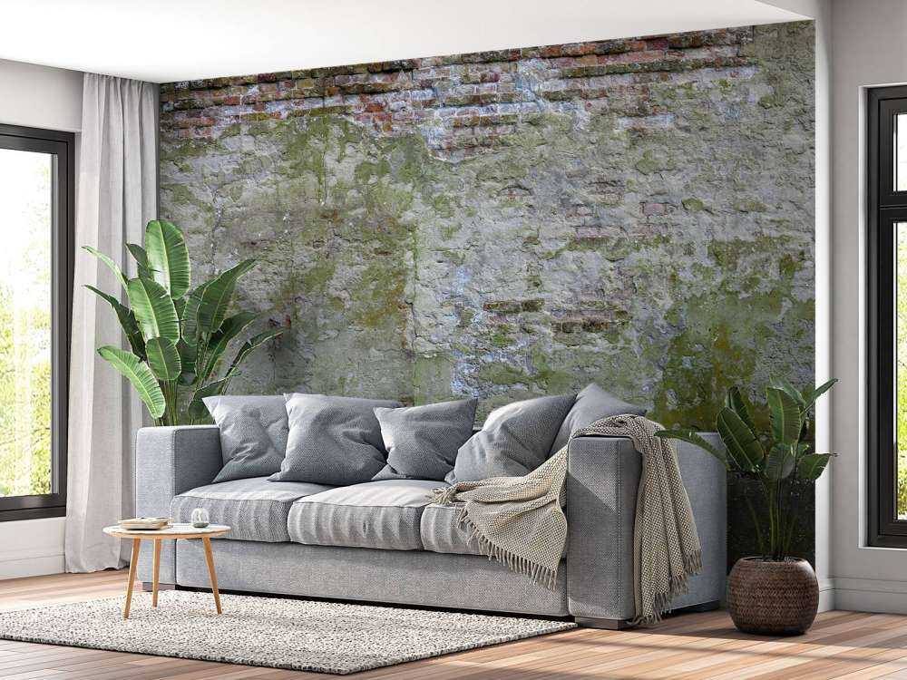 Muschio su un vecchio muro