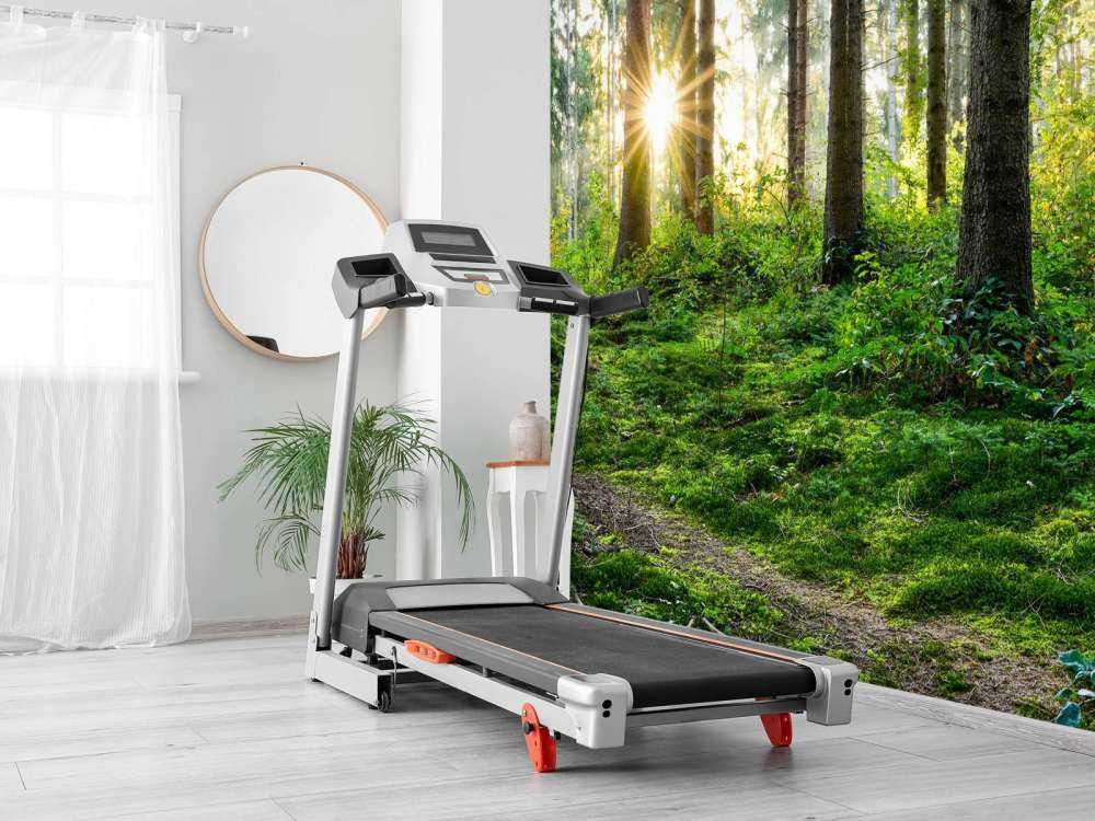 Panorama della foresta in primavera