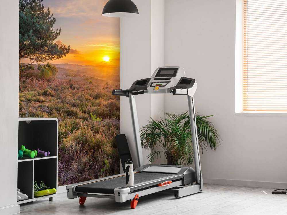 Tramonto sulla brughiera