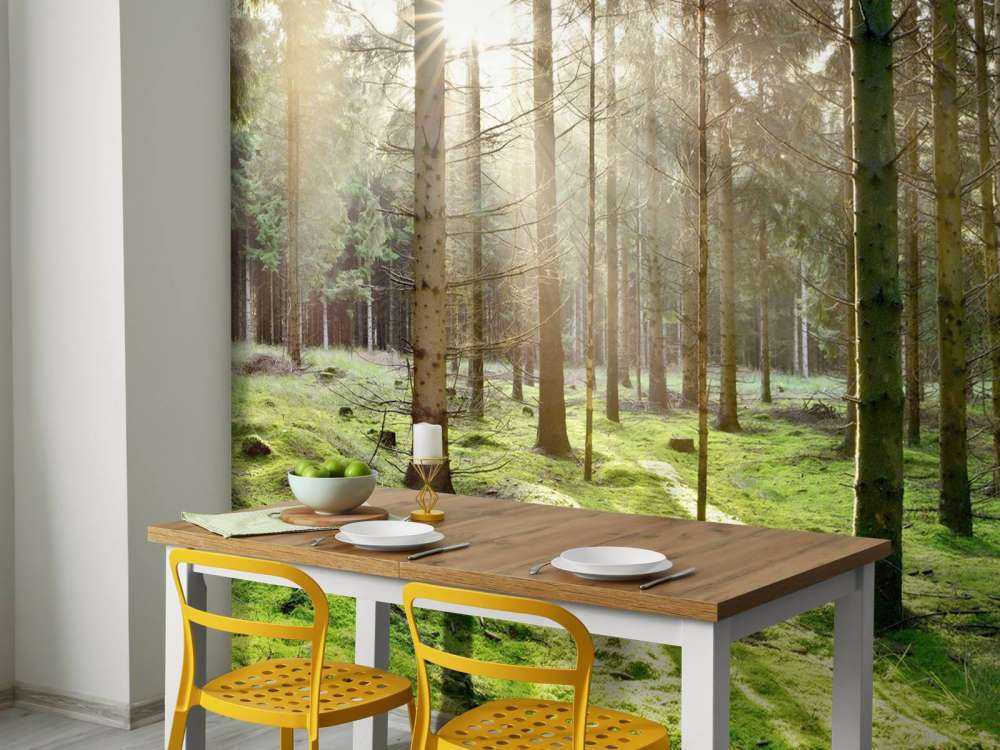 Foresta di conifere con muschio