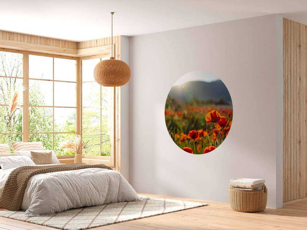 Papaveri con raggi di sole