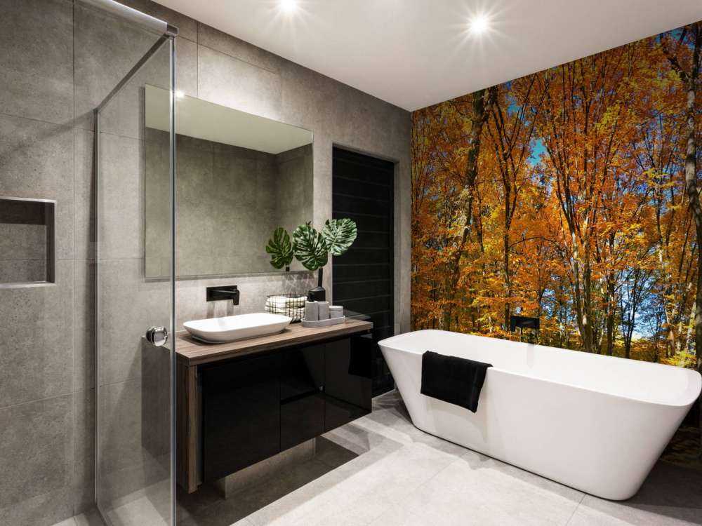 Autunno nella foresta