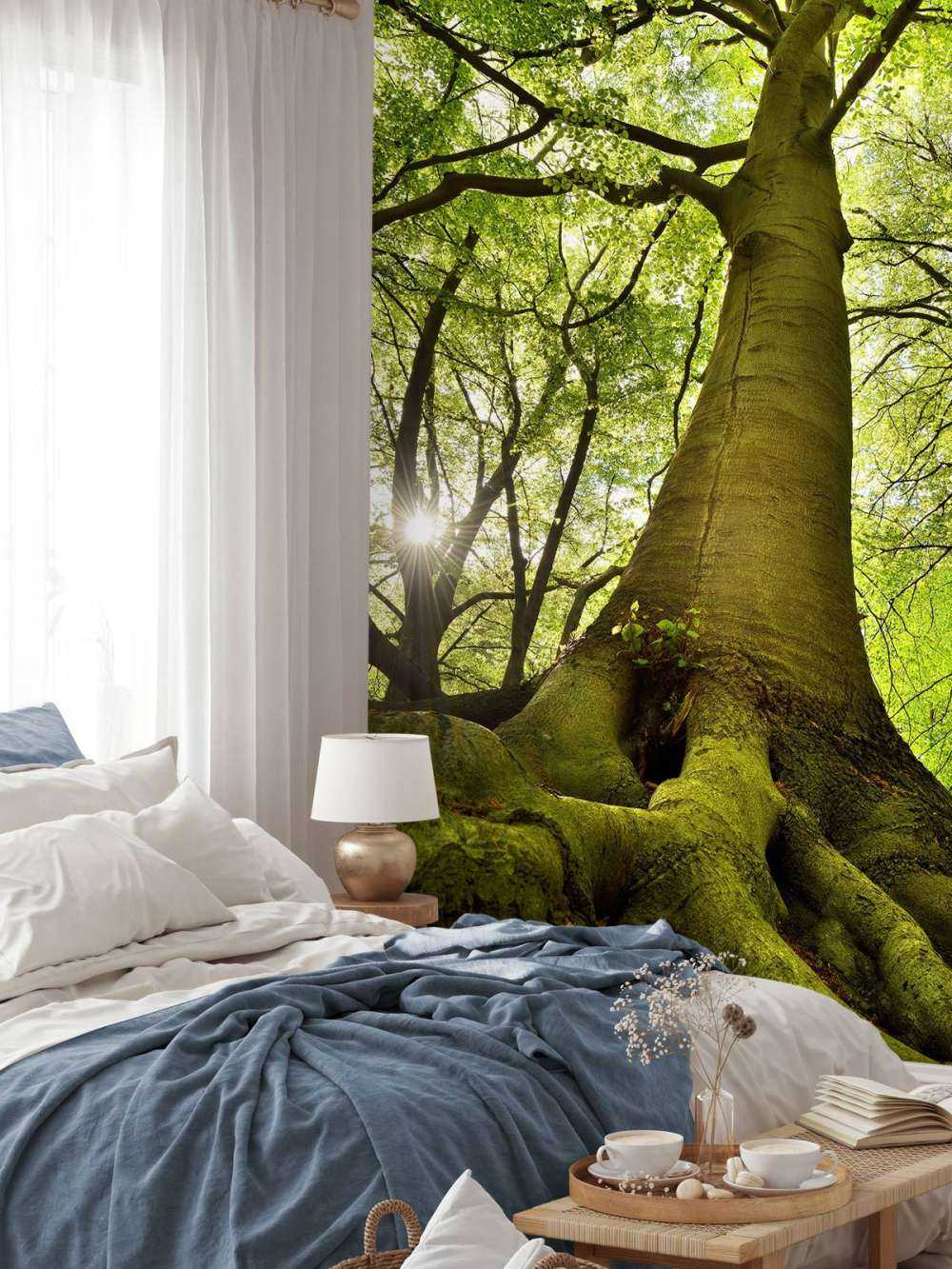 Grande albero e radici