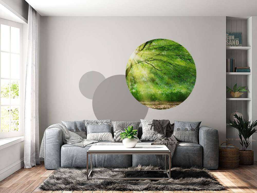 Grande albero con sole