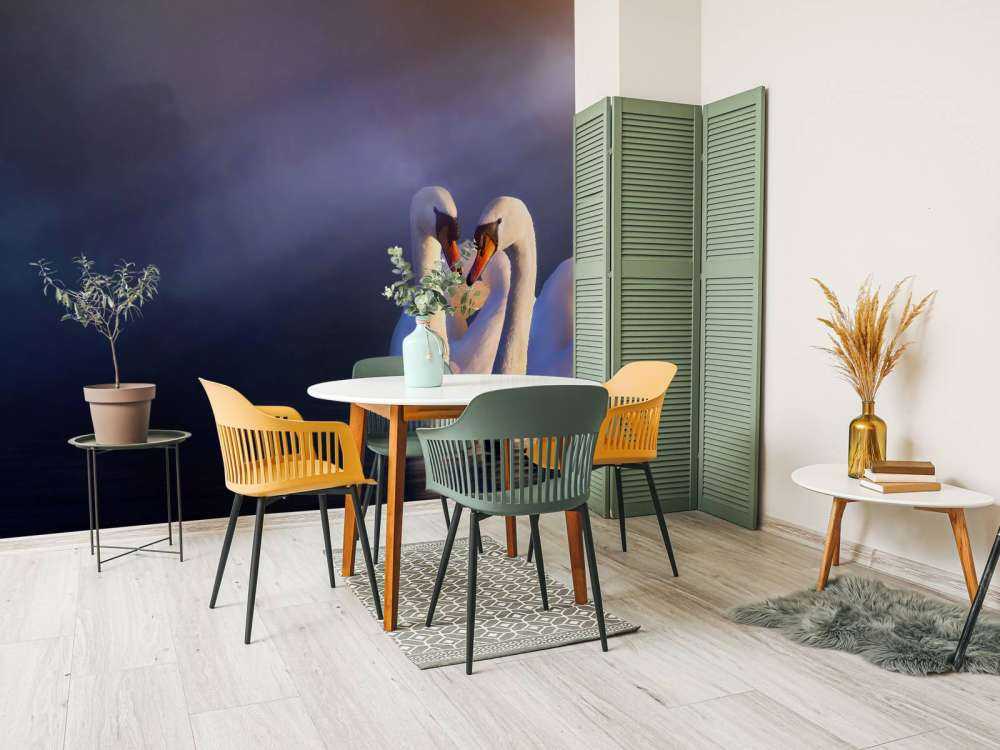 Amore coppia cigni bianchi coppia bianco