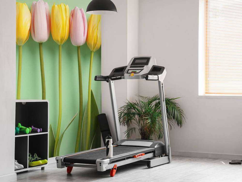 Tulipani su sfondo verde menta