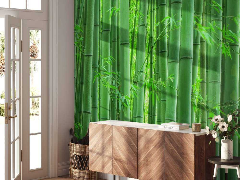 Closeup foresta di bambù