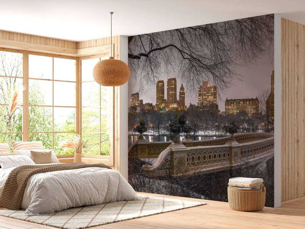 Central Park e Manhattan