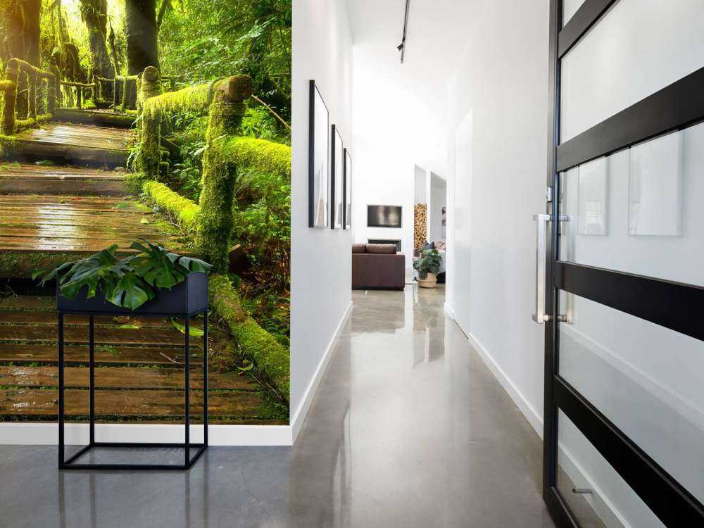 Grande scala della giungla