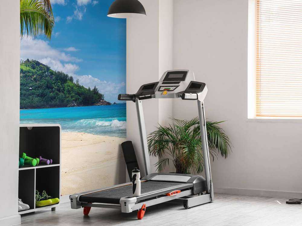 Bella spiaggia con palme