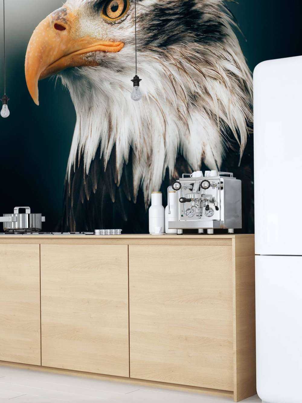 Aquila di mare primo piano