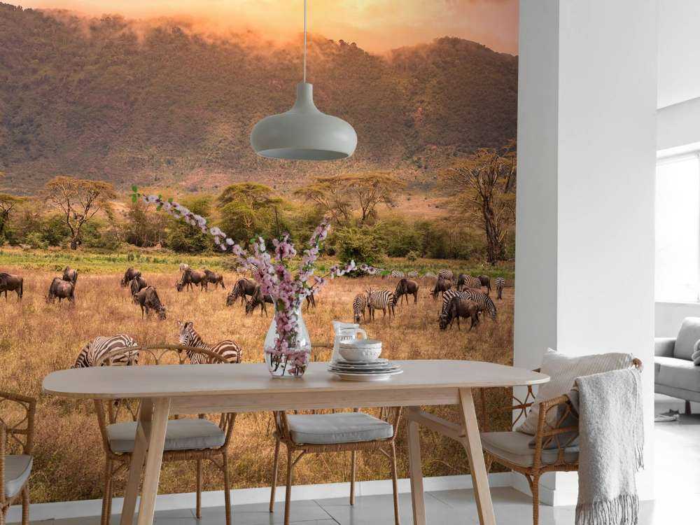 Savana paesaggio con zebre