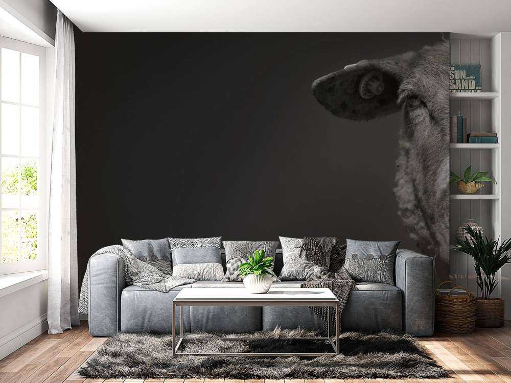 Pecora primo piano in bianco e nero