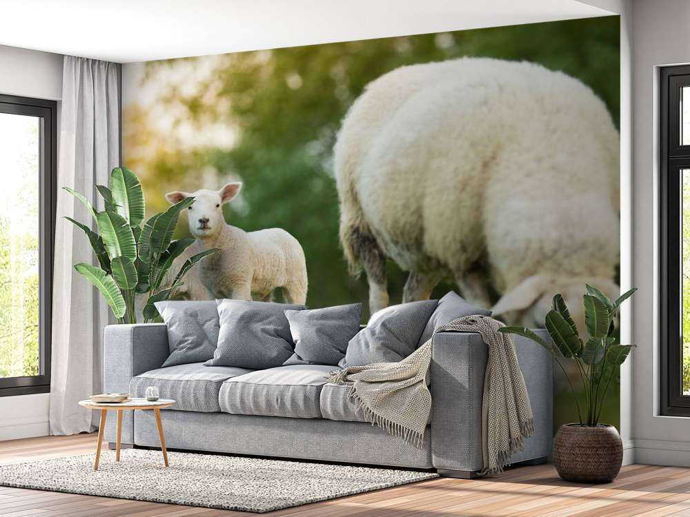 Madre pecora con agnelli