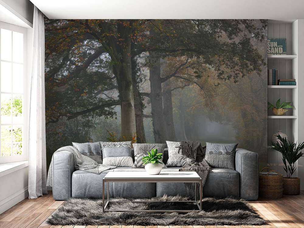 Corsia con alberi nella nebbia