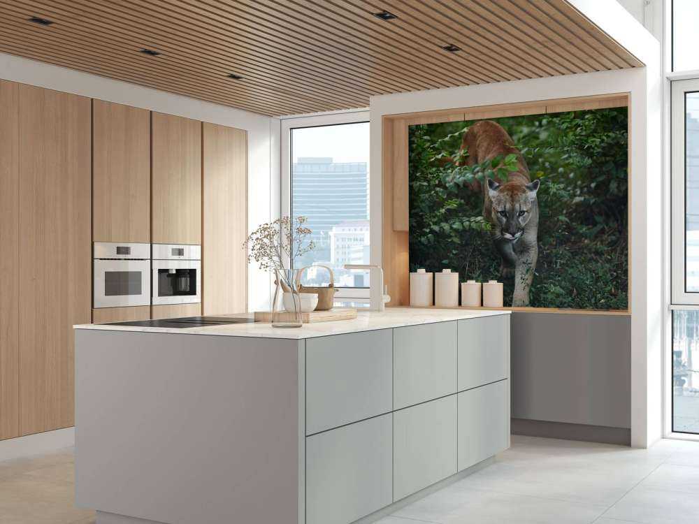 Leone di montagna furtivo