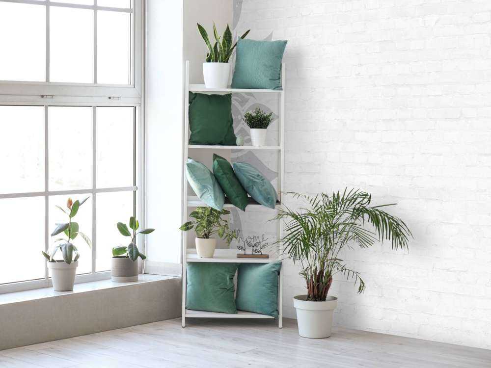 Grigio bianco Mandala Blossom