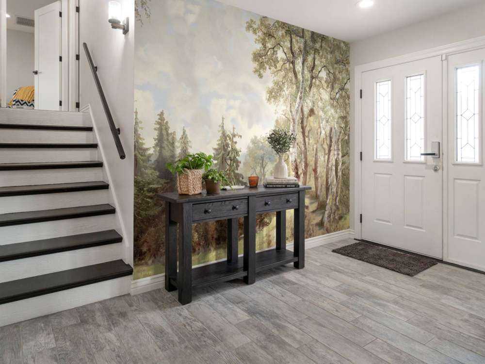 Paesaggio Forestale Colore #1