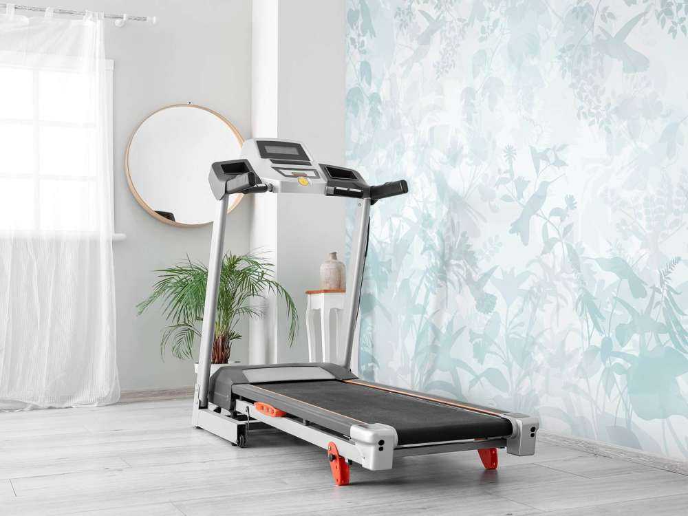 Sinfonia del Giardino in Blu