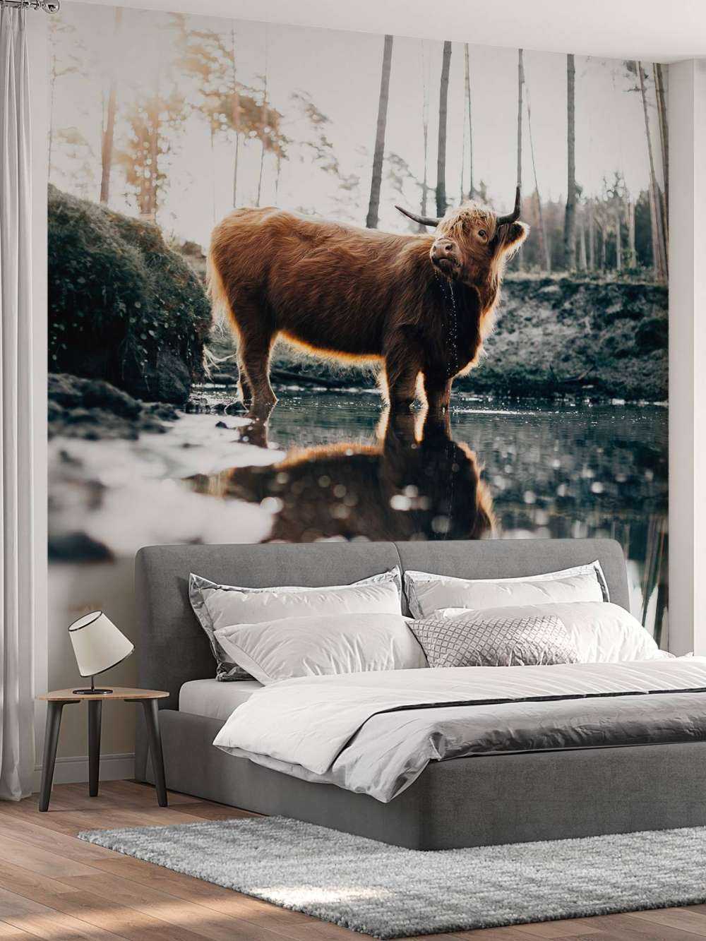 Highlander scozzese in acqua